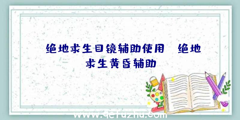 「绝地求生目镜辅助使用」|绝地求生黄昏辅助